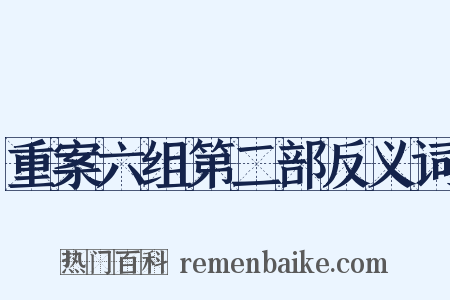 重案六组第二部反义词是什么意思的图片